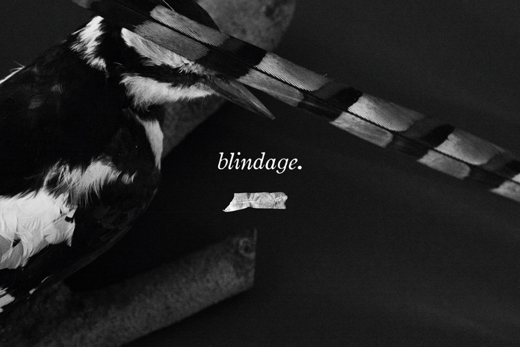 blindage_credit_nita